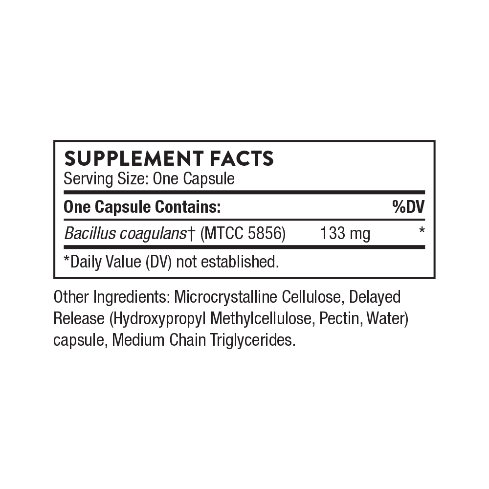 Bacillus Coagulans